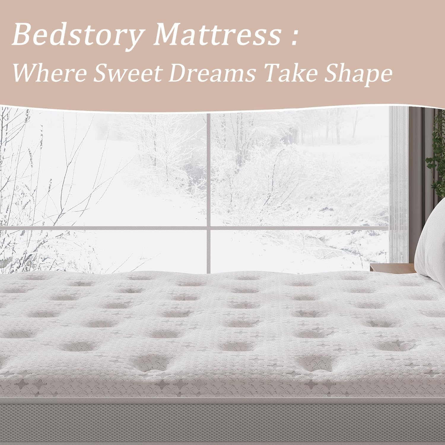 BedStory Luxury Mattresses in a Box for Lumbar Support